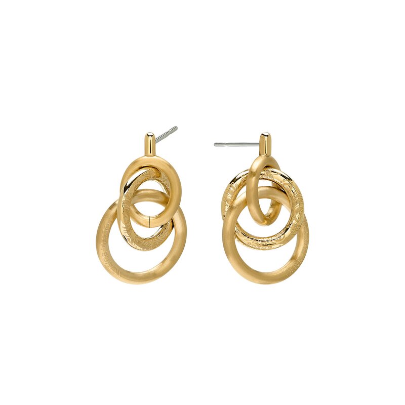 Encircle Gold Plated Earrings