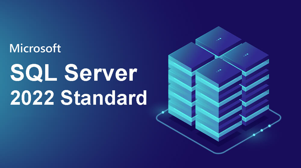 SQL Server 2022 Standard Edition