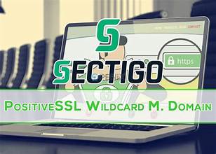 PositiveSSL Wildcard DV