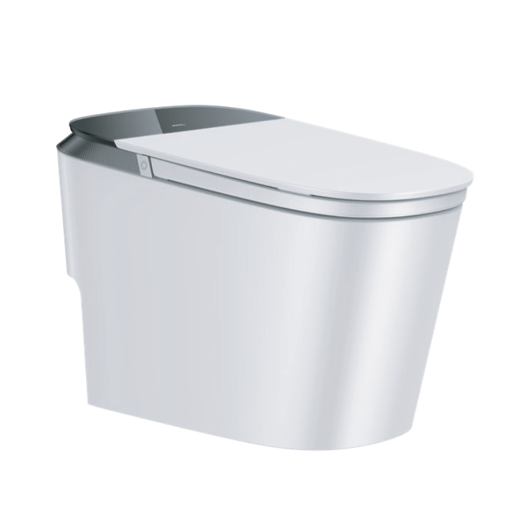 BỒN CẦU THÔNG MINH - ZD8920-SA-CJM305