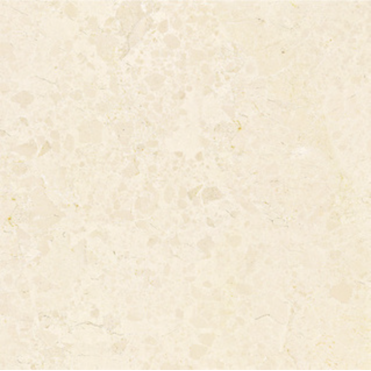 GẠCH LÁT SÀN - RS607301