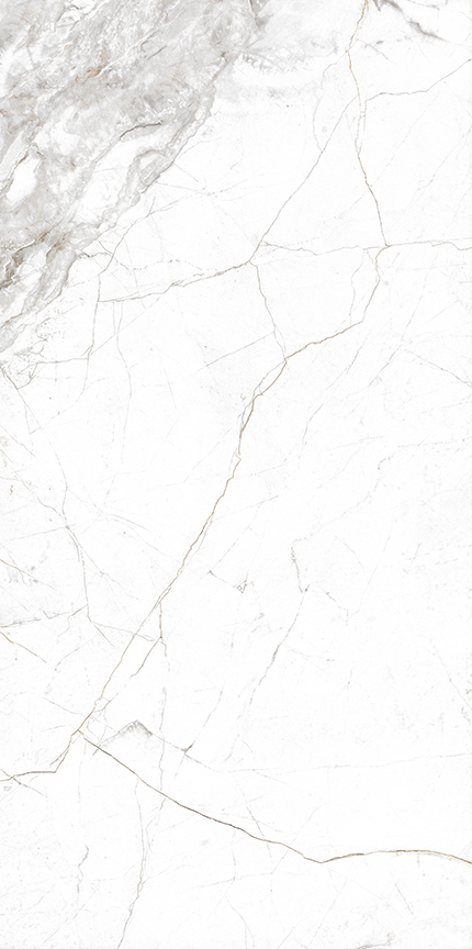 GẠCH NABEL VT61010