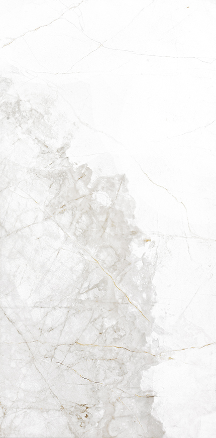 GẠCH NABEL VT61010