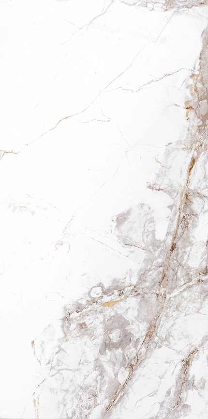 GẠCH NABEL VT61010