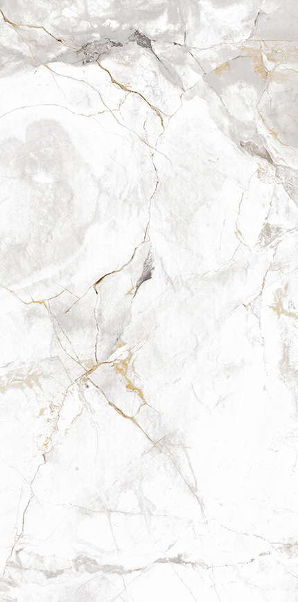 GẠCH NABEL VT61010