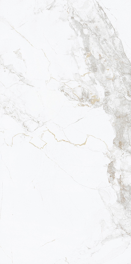 GẠCH NABEL VT61010