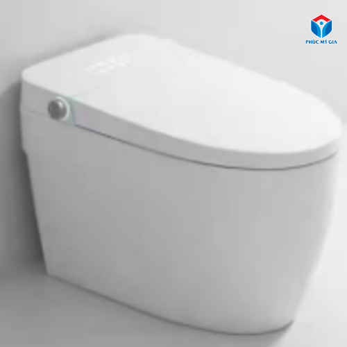 BỒN CẦU THÔNG MINH